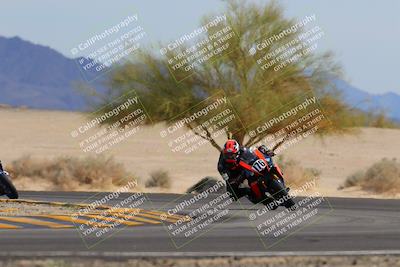 media/Nov-05-2022-SoCal Trackdays (Sat) [[f8d9b725ab]]/Turn 4 Tree of Life (125pm)/